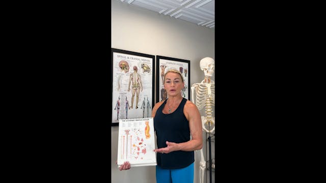 Treating chronic digestive issues tut...