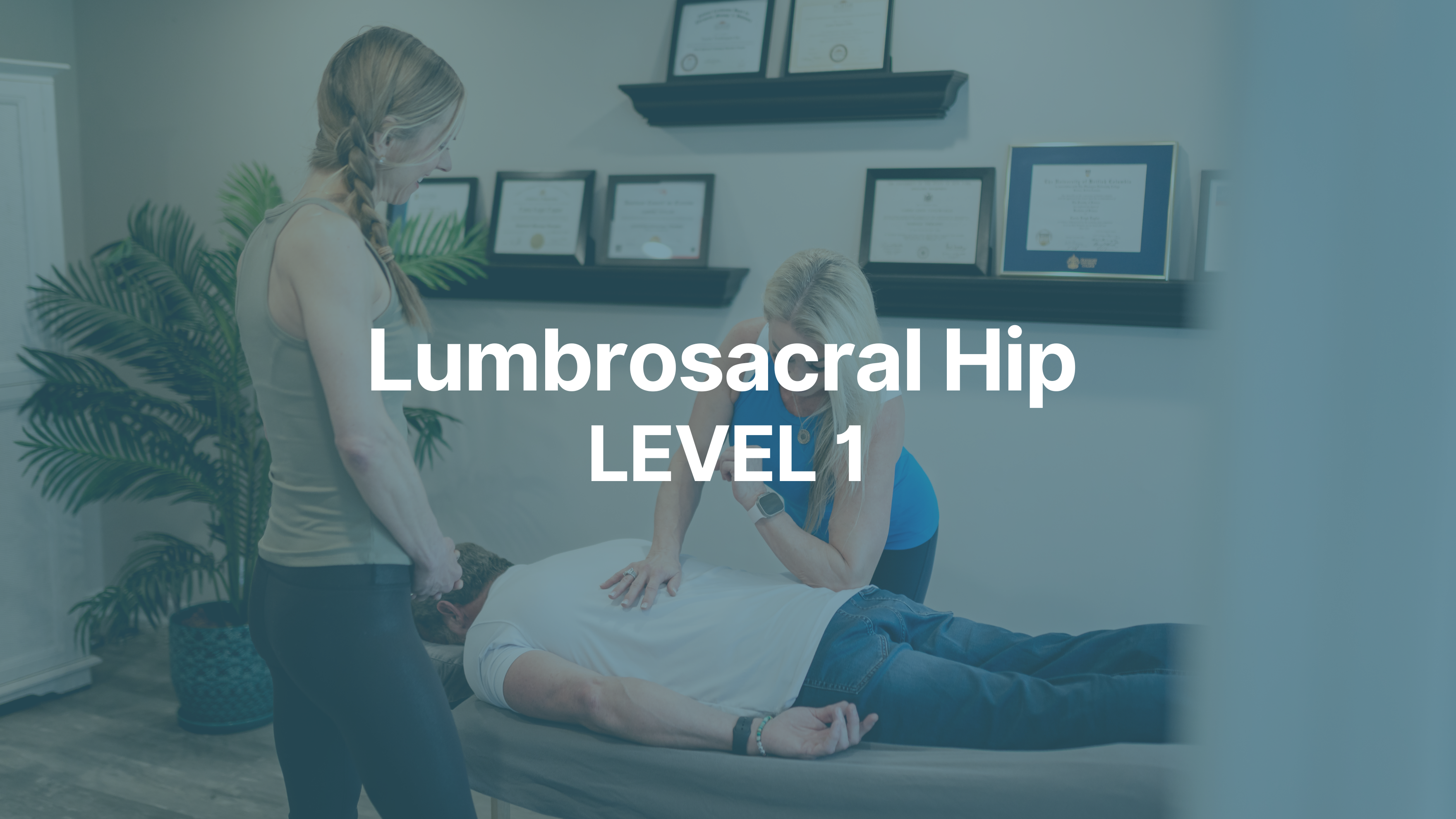 Taylor Techniques Fascial Approach for the Lumbar spine & Acetabulofemoral joint