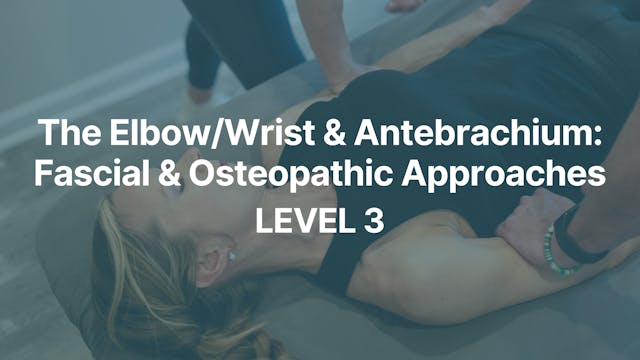 The Elbow/Wrist & Antebrachium: Fasci...