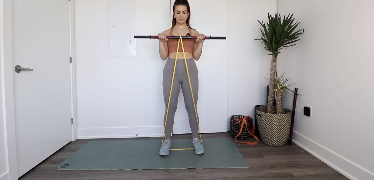 Reverse Grip Bicep Curl