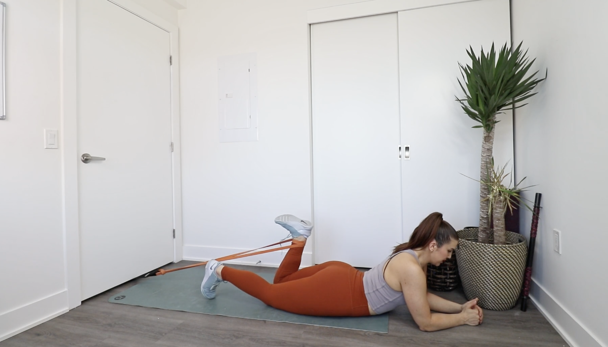 Lying Hamstring Curl