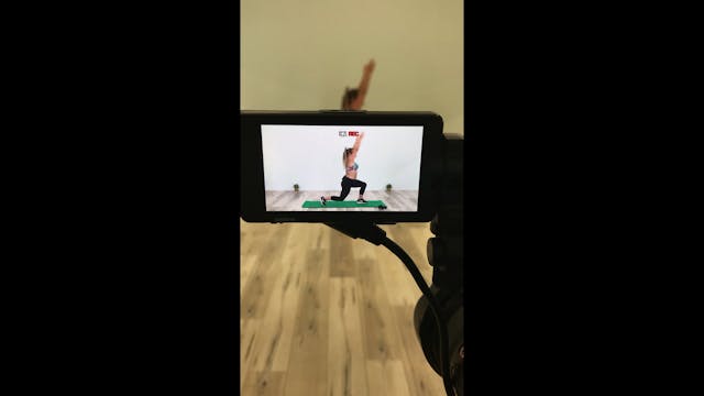 Lunge + Kick Back #029