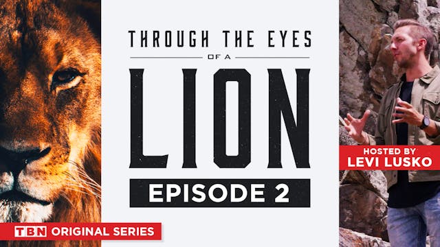 Through the Eyes of a Lion | Episode 2