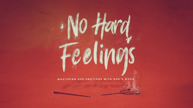 No Hard Feelings - Calm The Nerves