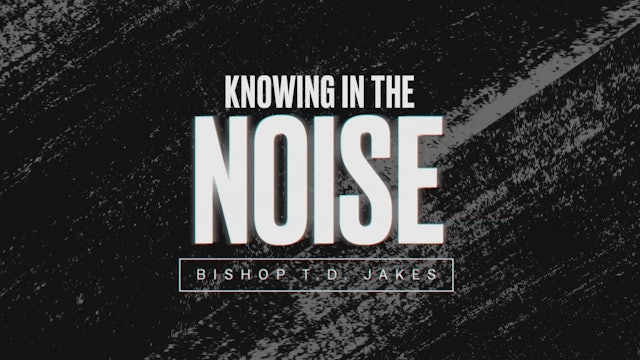 Knowing In The Noise