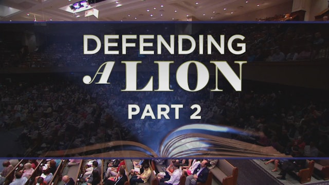 Defending A Lion Part 2