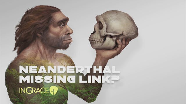 Neanderthal – Missing Link?