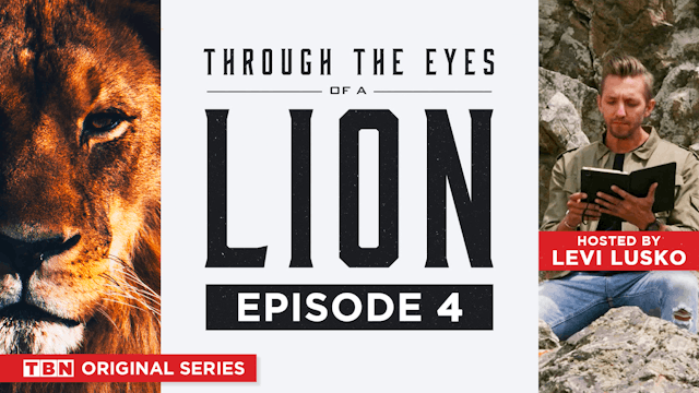 Through the Eyes of a Lion | Episode 4