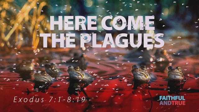 Here Comes The Plagues