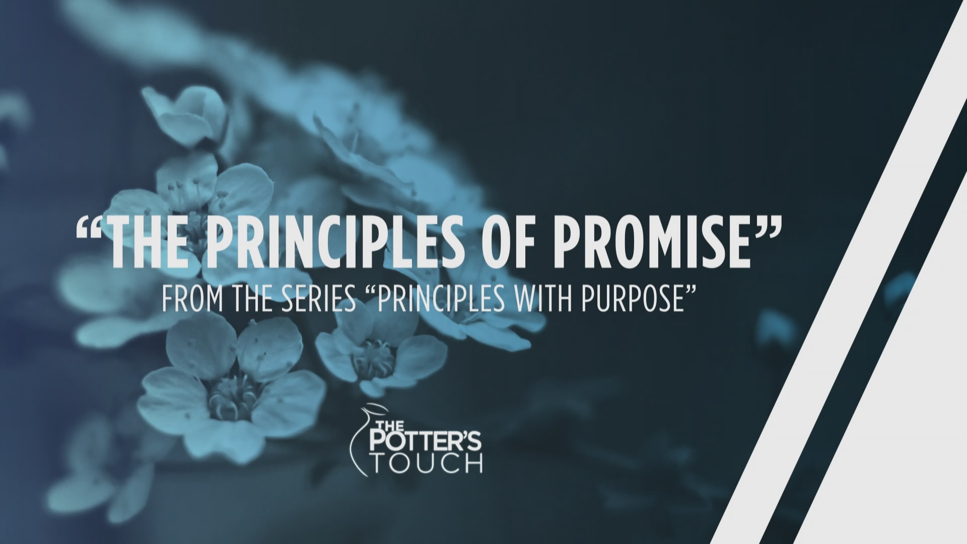 The Principles of Promise