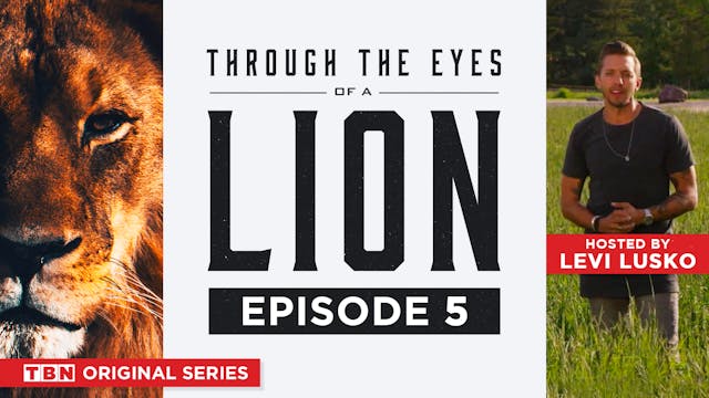 Through the Eyes of a Lion | Episode 5