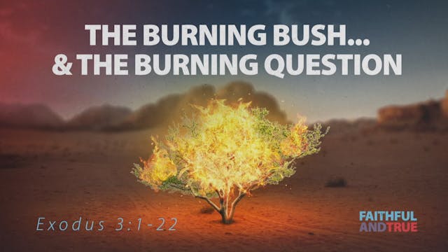 The Burning Bush And The Burning Ques...