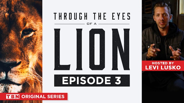 Through the Eyes of a Lion | Episode 3