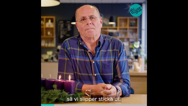 Dag 341: Sådana vi är | Plussord