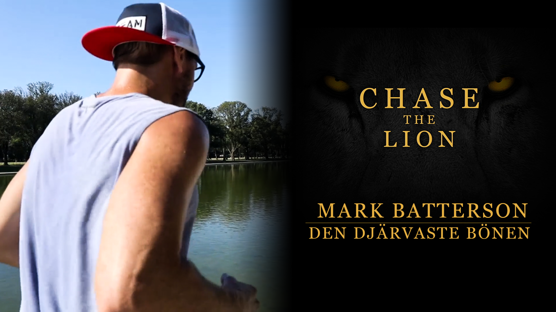 Spring mot rytandet | Chase the lion