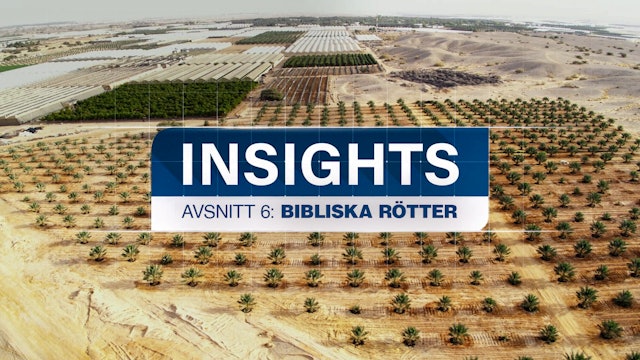 Bibliska rötter | Insights: Israel och Mellanöstern