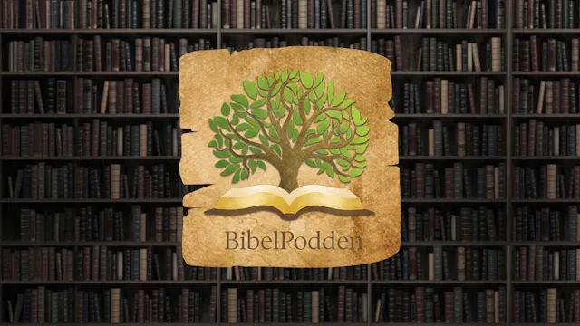 Bibeln och Koranen - lika eller olika...