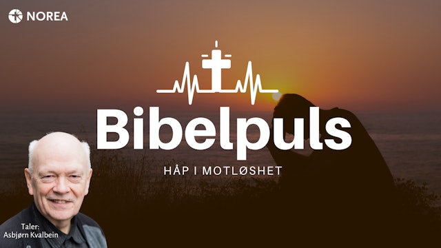 Bibelpuls 41 | Håp i motløshet | NOREA