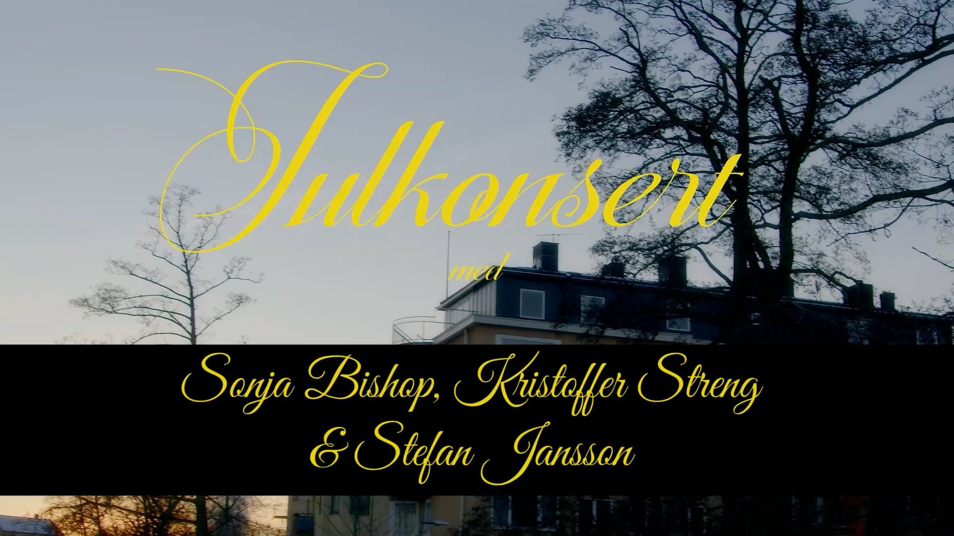 Julkonsert från Vasa kyrka