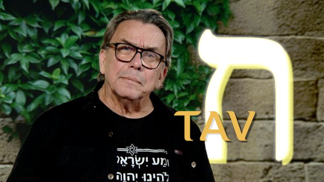 Tav | Kapitel 32 | En vandring i det ...