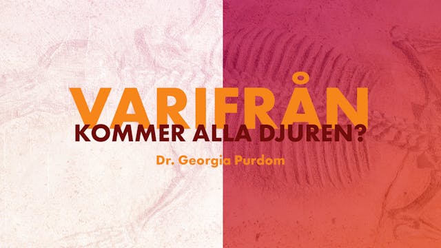 Varifrån kommer alla djuren? | Genesi...