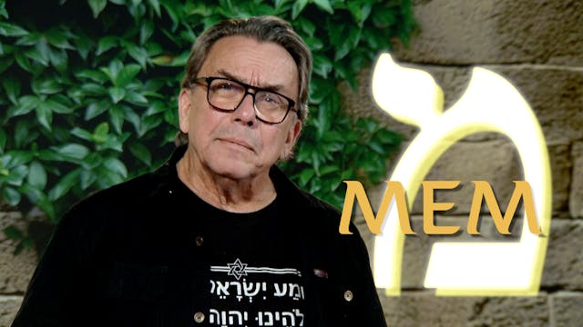 Mem | Kapitel 21 | En vandring i det ...