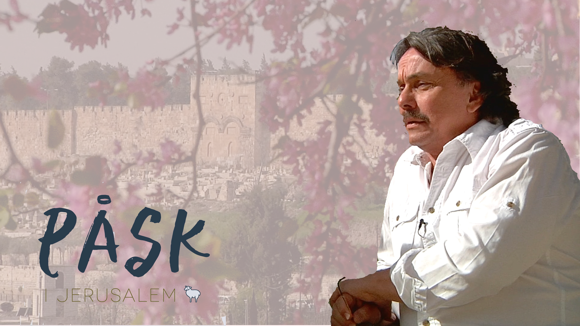 Dag 4 | Påsk i Jerusalem