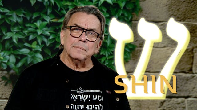 Shin Del 3 | Kapitel 31 | En vandring...