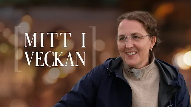 Susanna Reinhard | Mitt i veckan