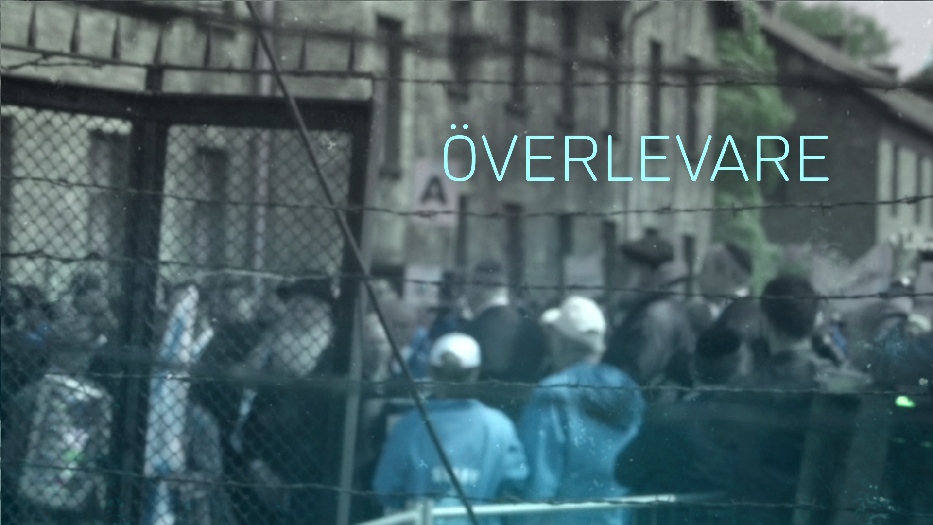 Överlevare  | Varför Israel berör