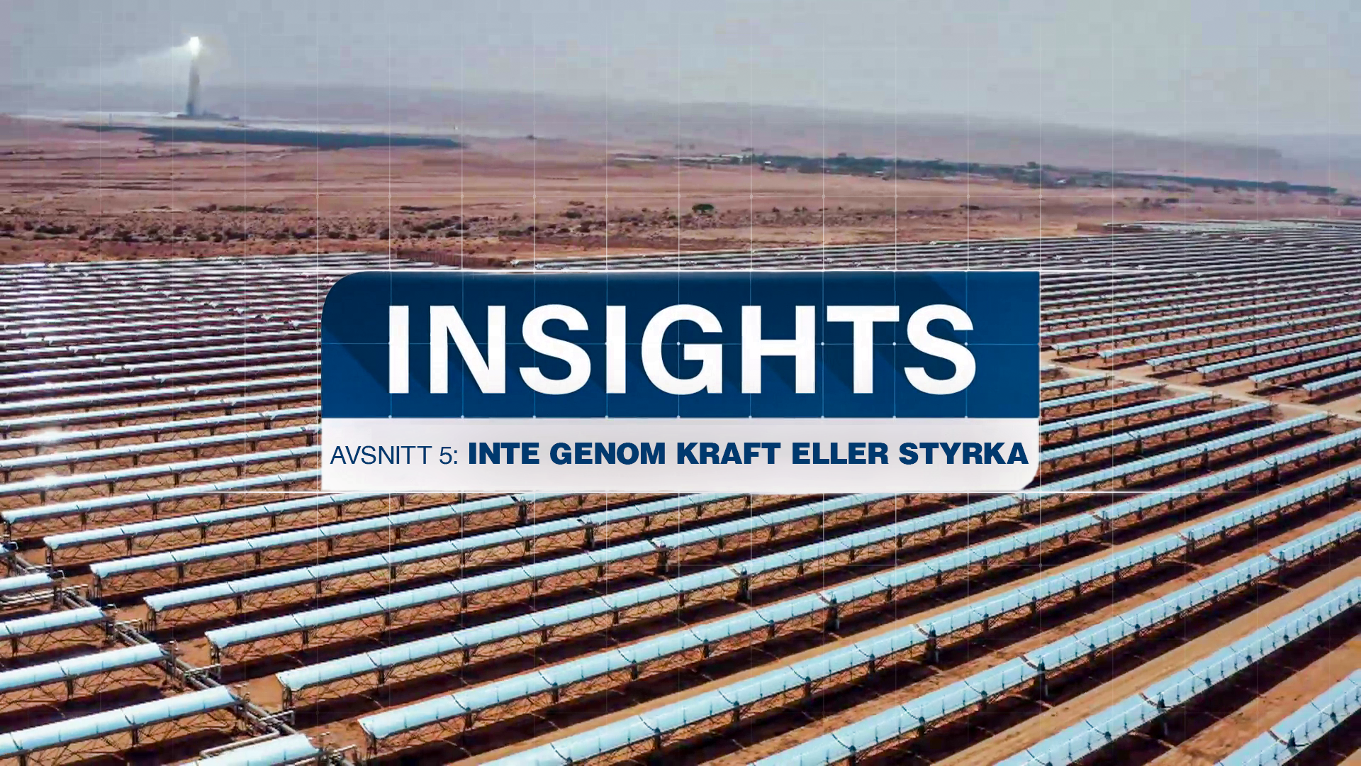 Inte genom kraft eller styrka | Insights - Israel och Mellanöstern