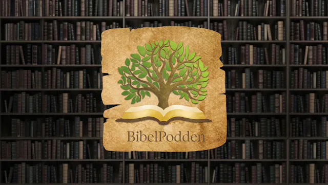 Vad vill Skapelseberättelsen säga oss...