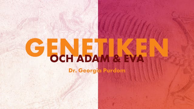 Genetiken och Adam och Eva | Genesis ...