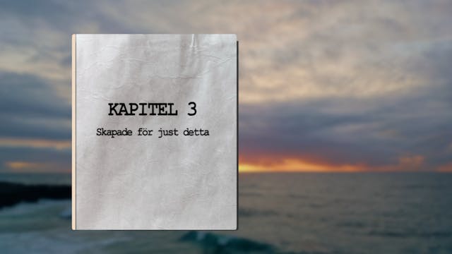 Kapitel 3 | Skapade för just detta | ...