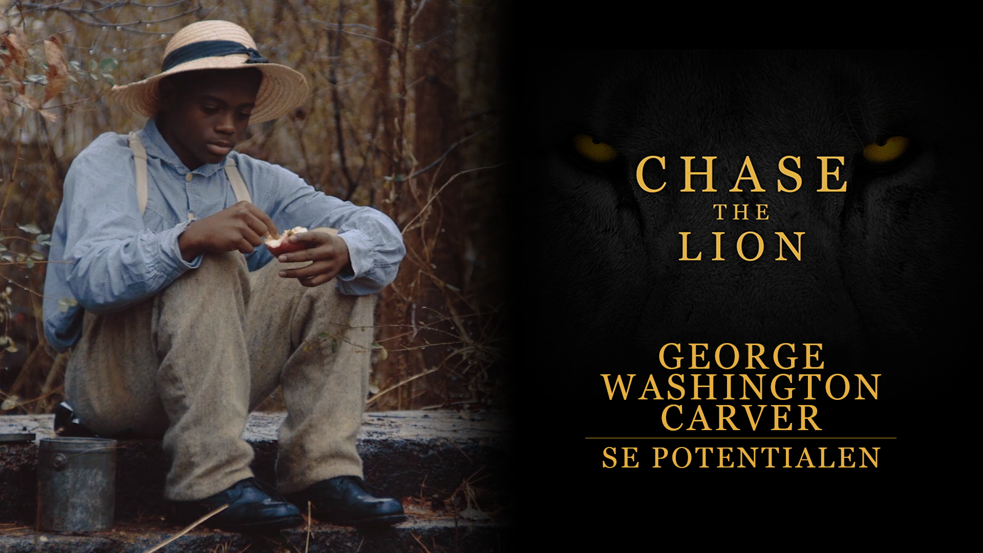 Tvåkilosdrömmen | Chase the lion