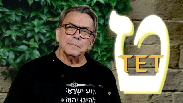 Tet | Kapitel 15 | En vandring i det ...