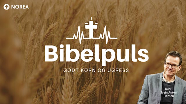 Bibelpuls 34 | Godt korn og ugress | ...