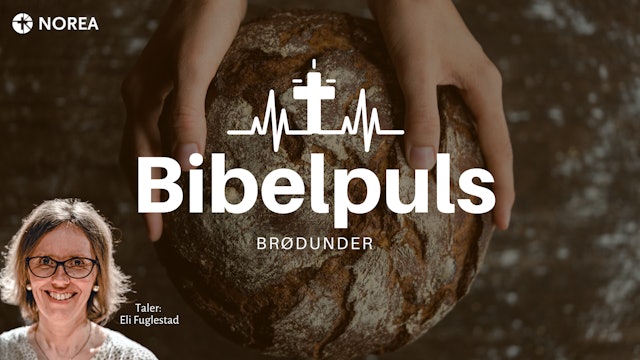 Bibelpuls 45 | Brødunder | NOREA
