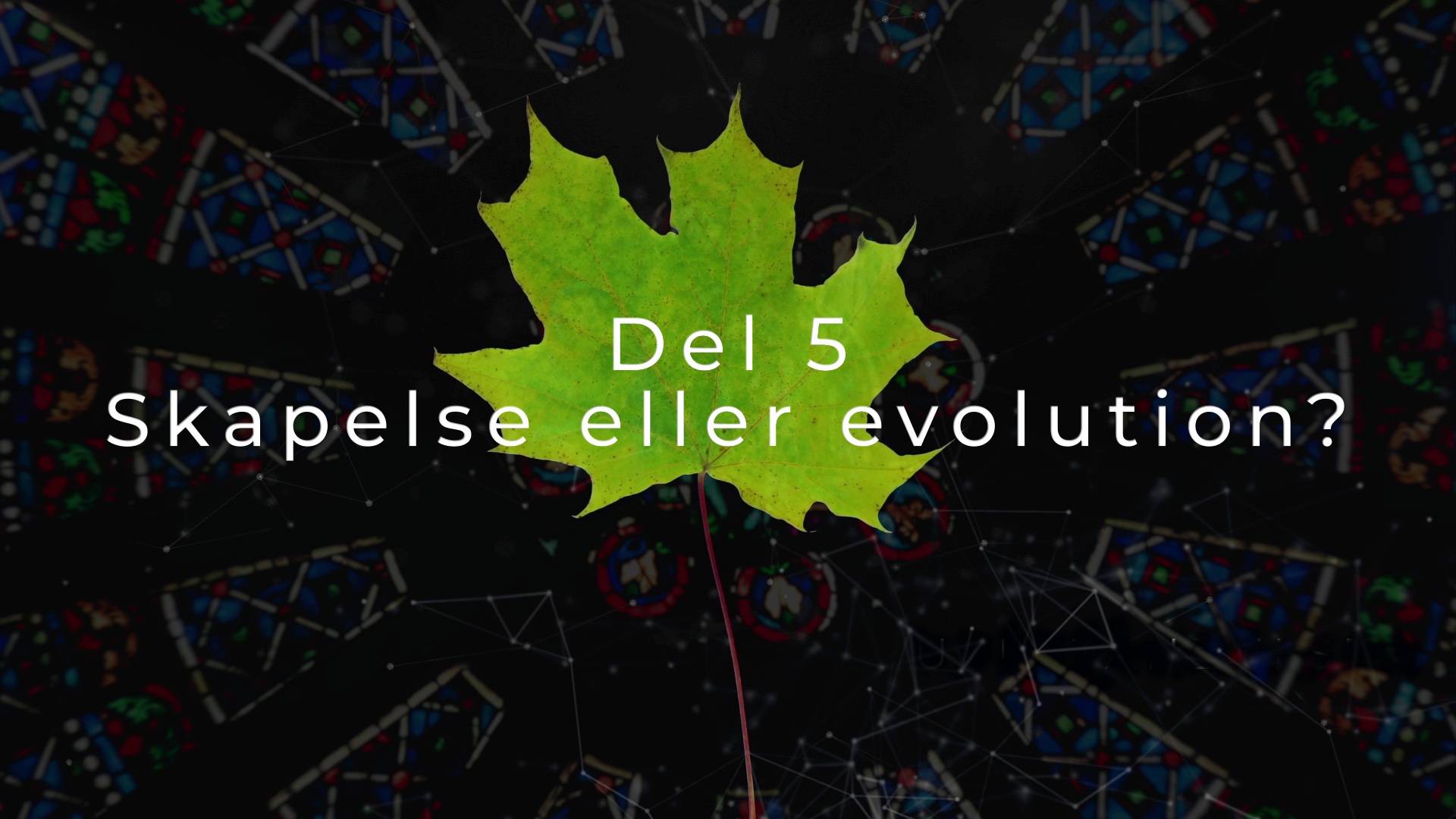 Del 5 | Vad är det vi tror på?