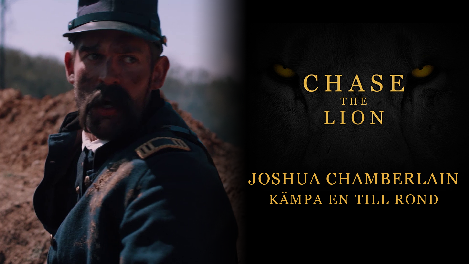 Kämpa en till rond | Chase the lion