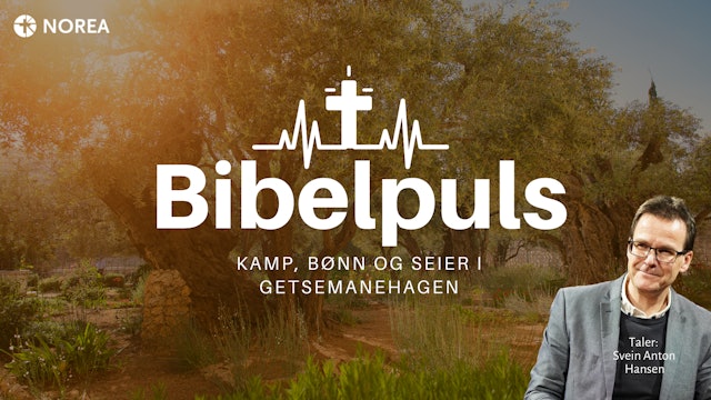 Bibelpuls 37 | 	Kamp, bønn og seier i Getsemanehagen | NOREA
