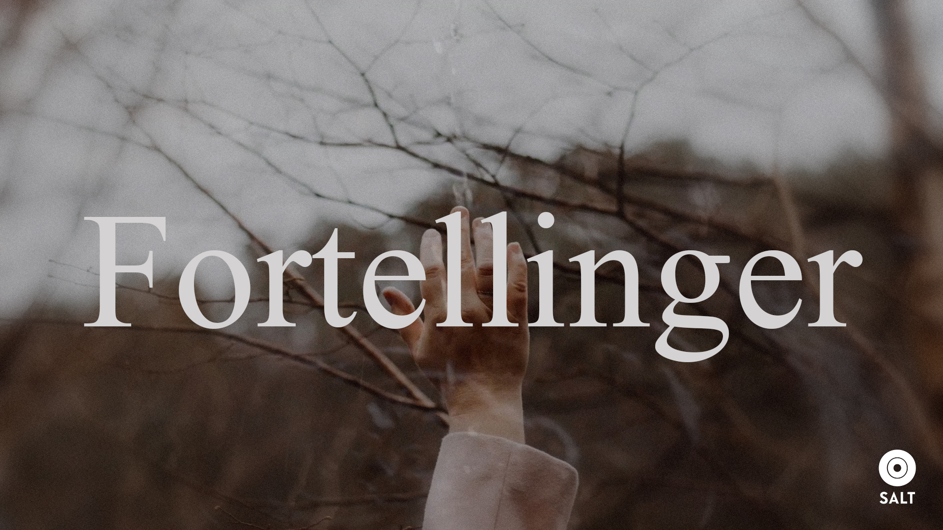 Fortellinger | SALT