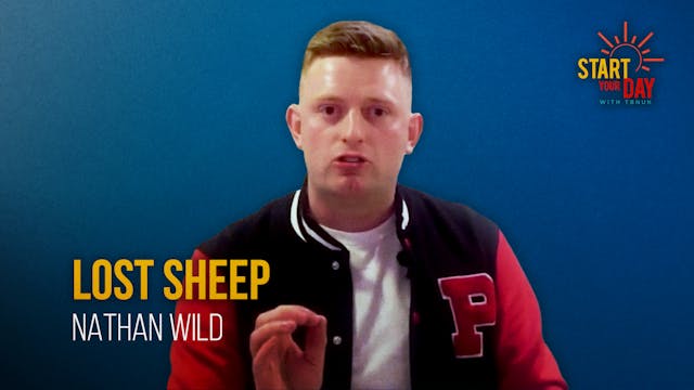 Lost Sheep with Nathan Wild