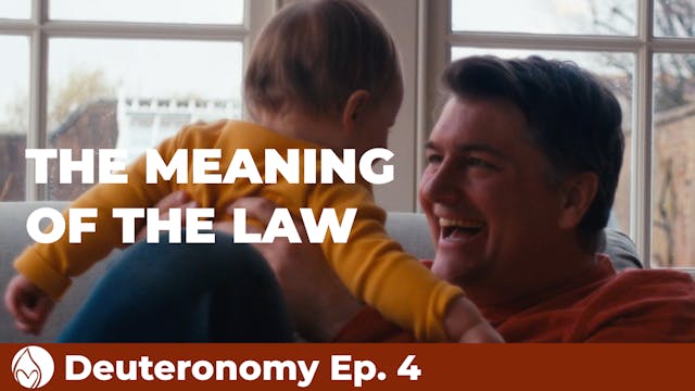 The Meaning of the Law 