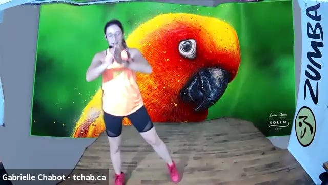 Zumba Fitness sans saut - Intensité m...