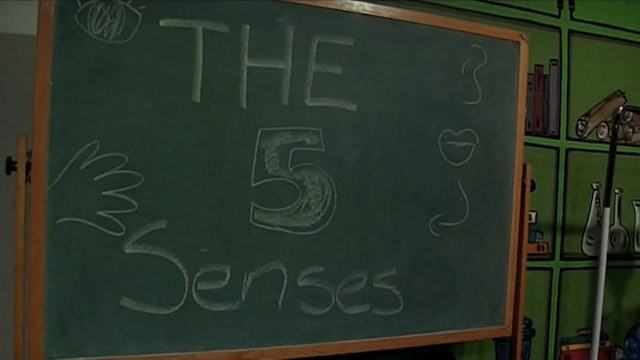the 5 Senses | Super Simple Science Stuff