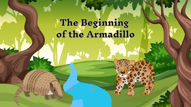 The Beginning of the Armadillo