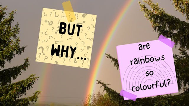 But Why: Are Rainbows so Colourful?