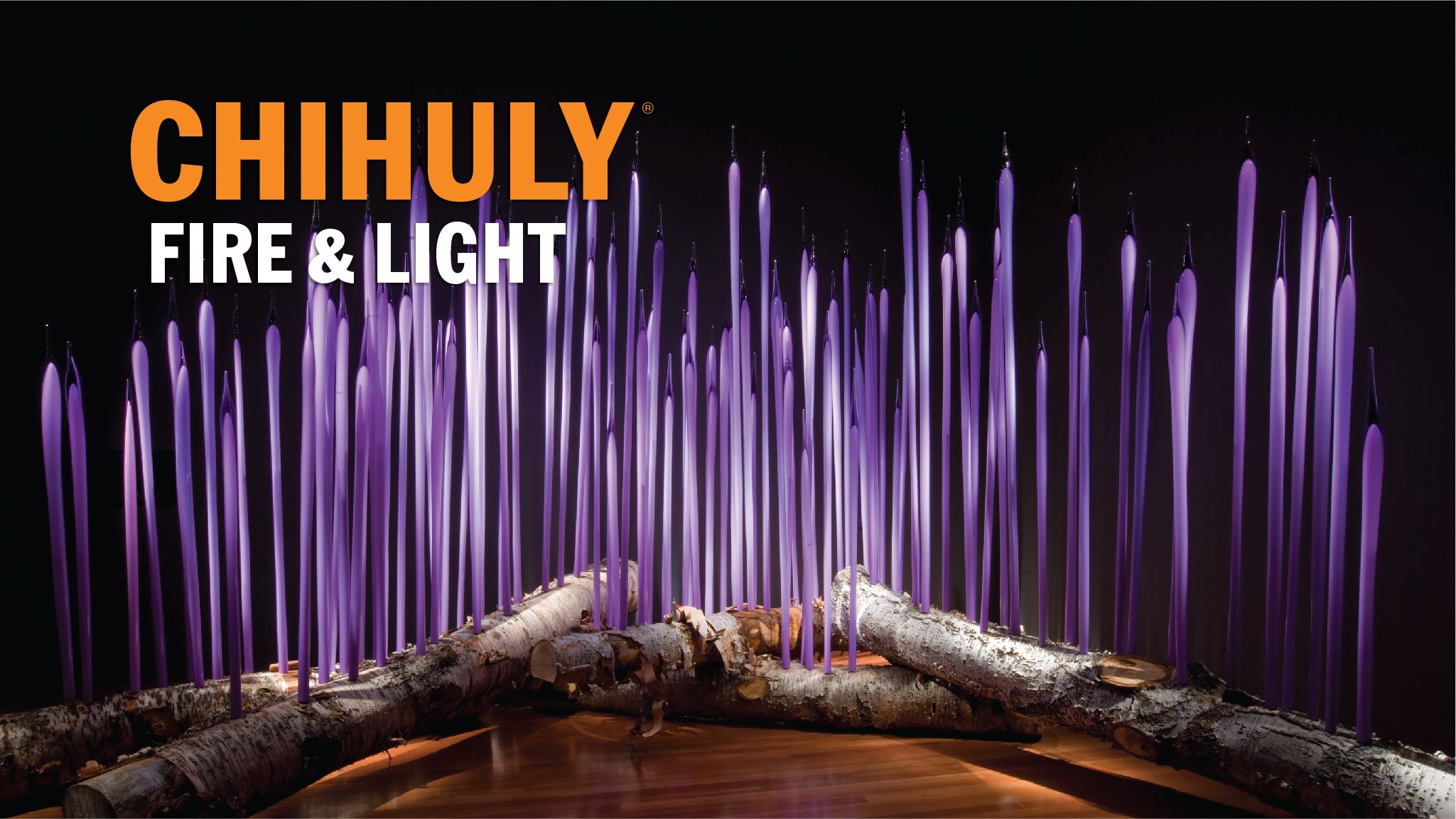 Chihuly Fire Light Indieflix - 