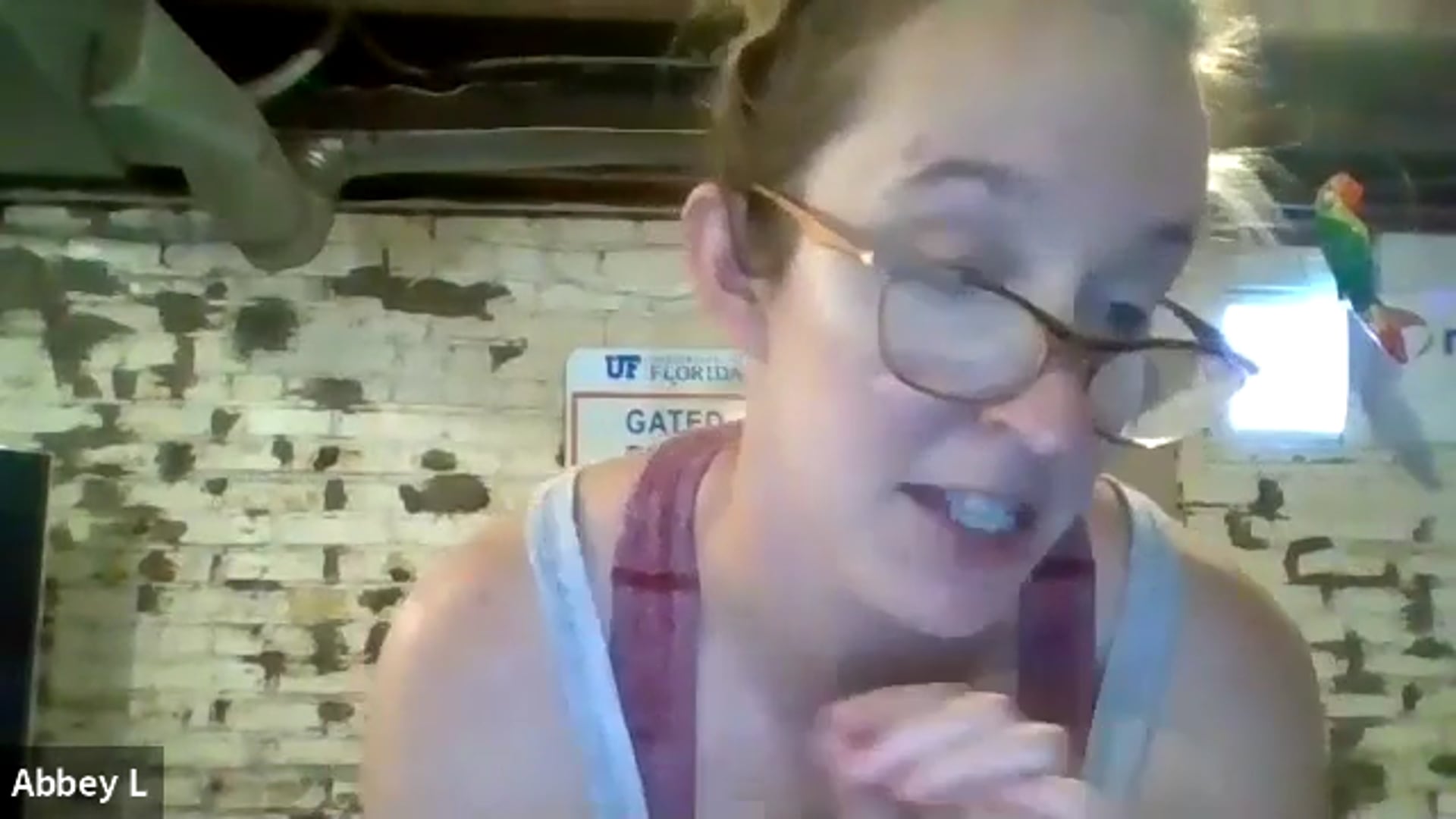 Tease Studio Fitness Video